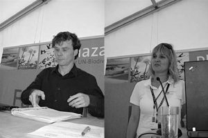 Trilateral Project- FCF